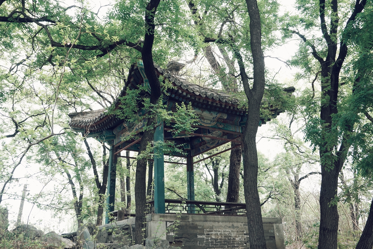 微信图片_20190521162310_副本.jpg