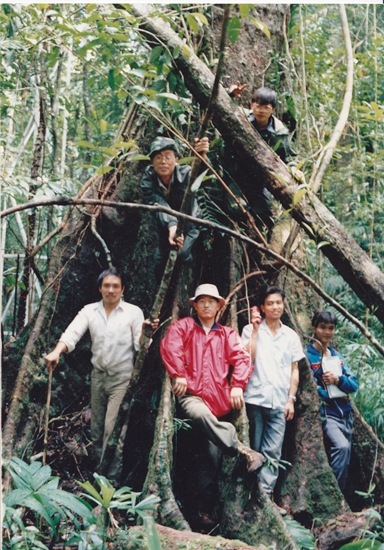 8a54154618cc466fbf9282f8ea603a7e.jpg 热带雨林考察_副本.jpg