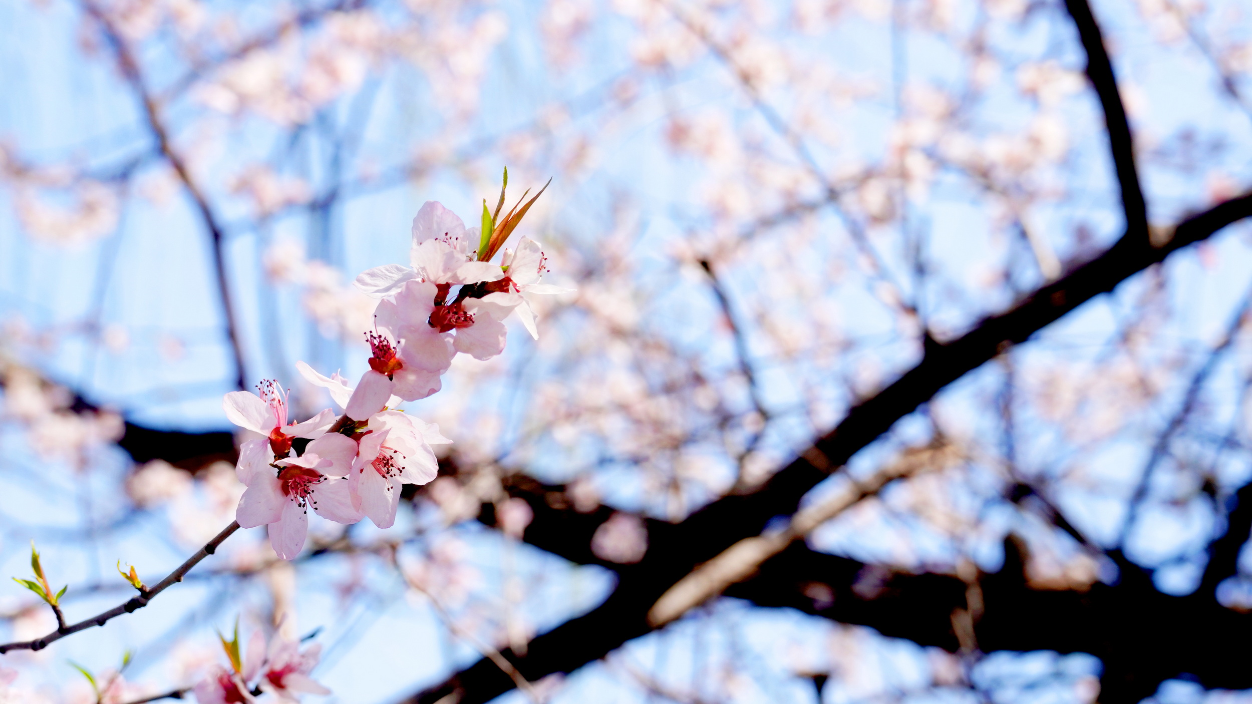 46903503f0e24949af81f091d35c289a.jpg