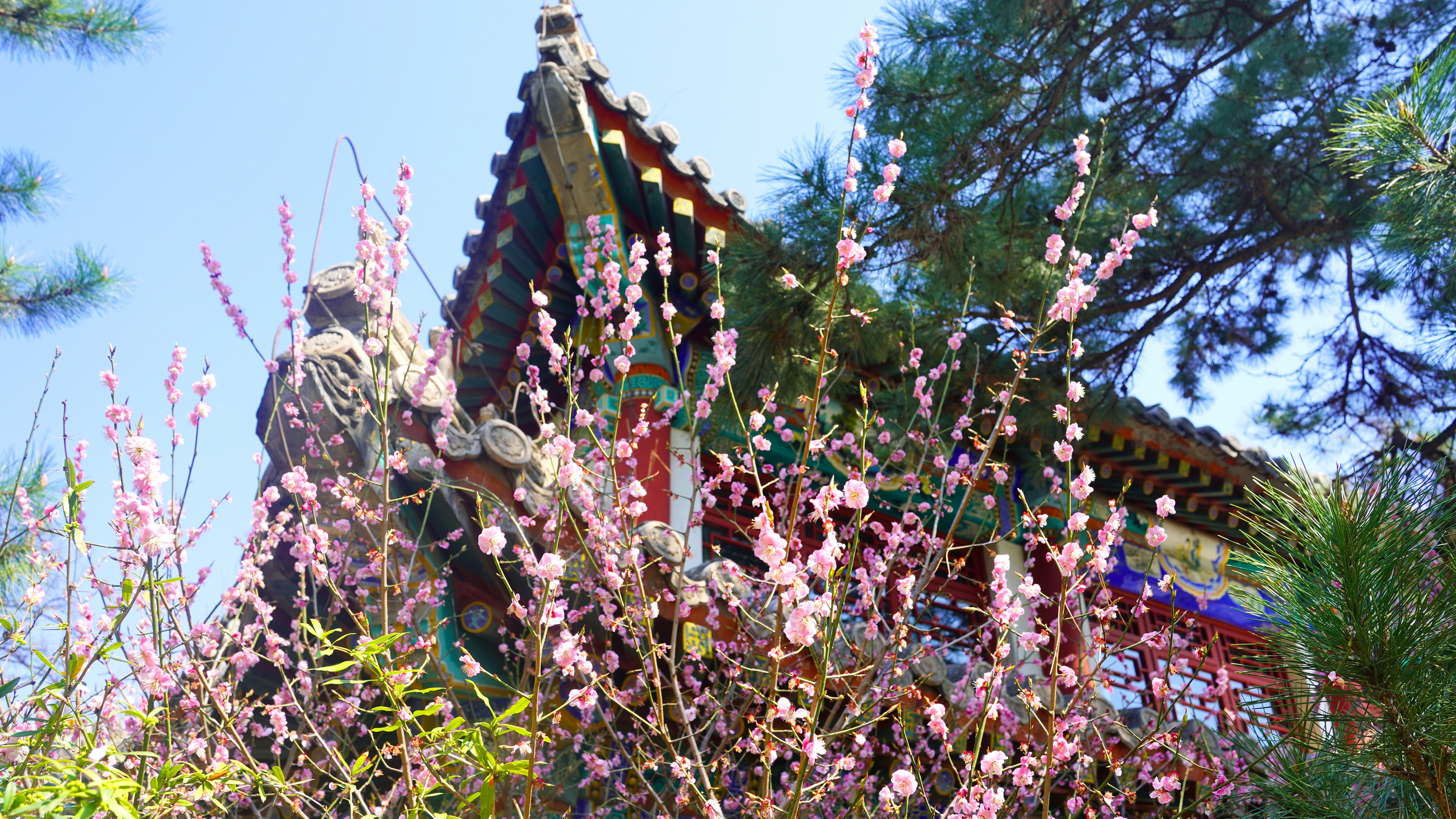 DSC04446_调整大小.JPG