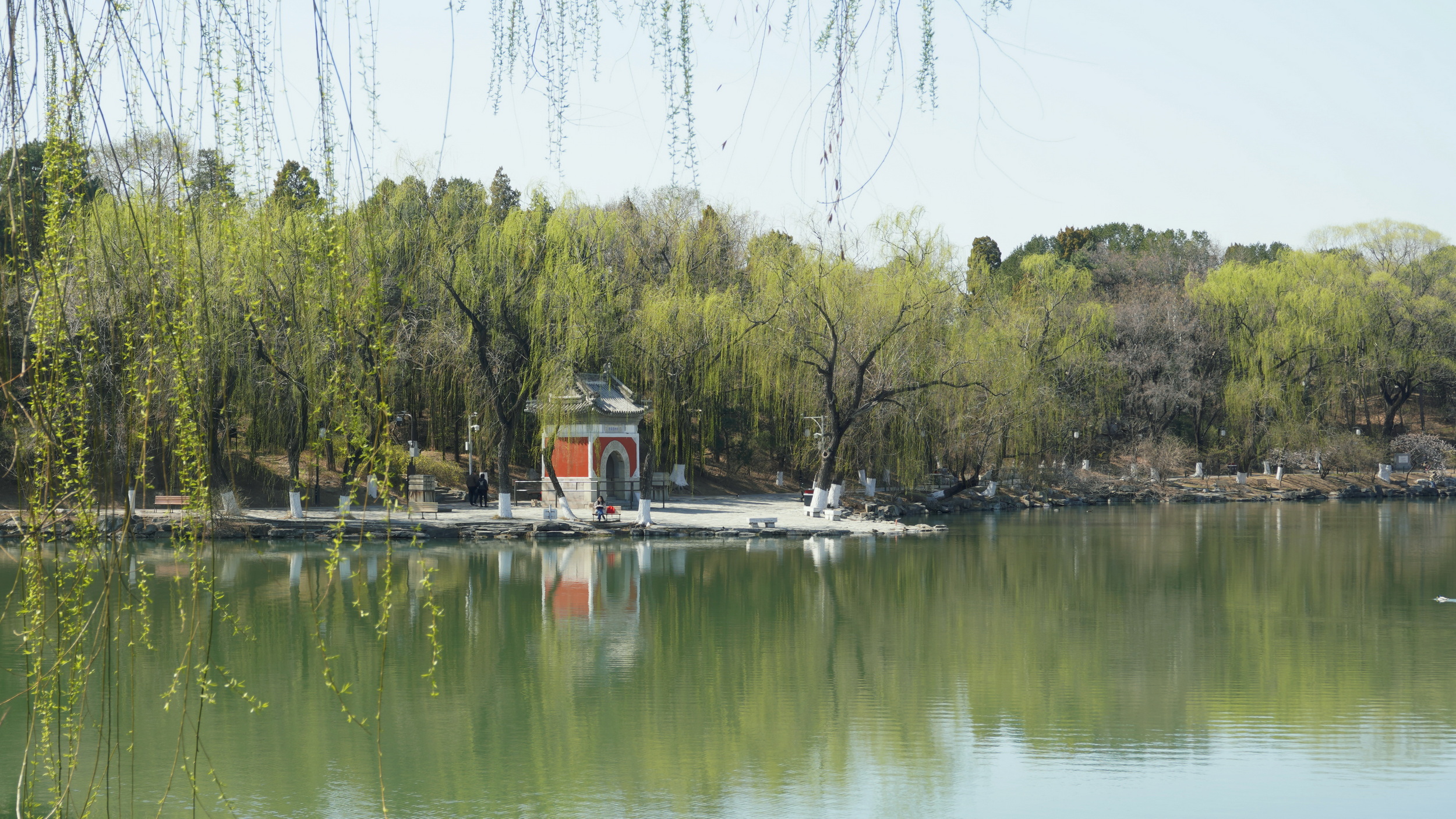 DSC04430_调整大小.JPG