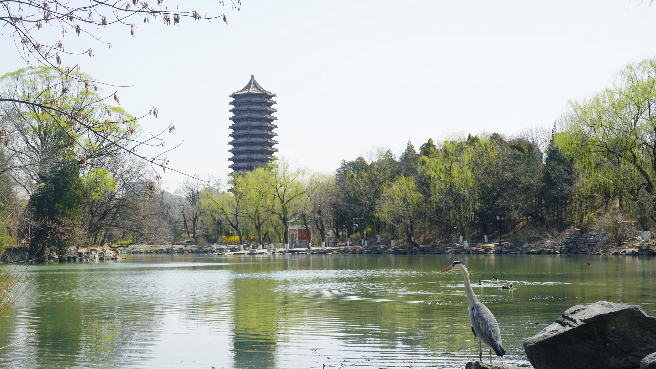 DSC04459_调整大小.JPG