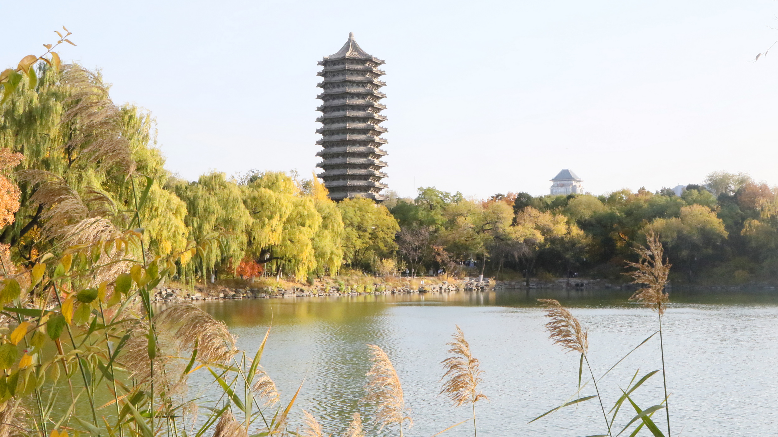 7R1A8399_调整大小.JPG