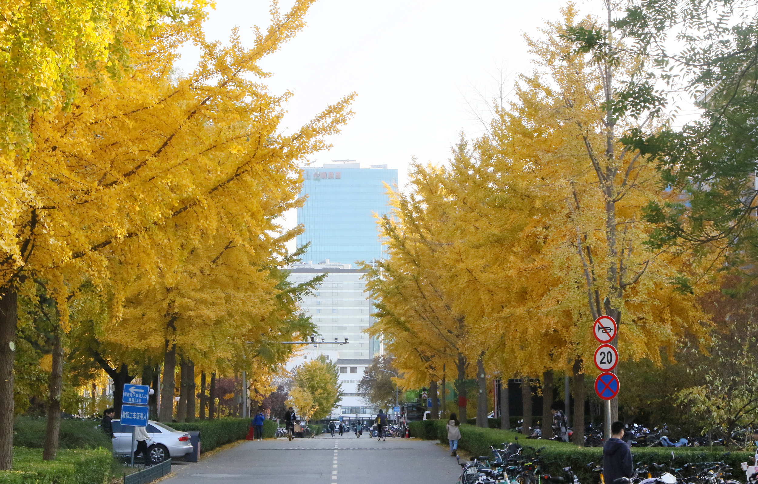7R1A8571_调整大小.JPG