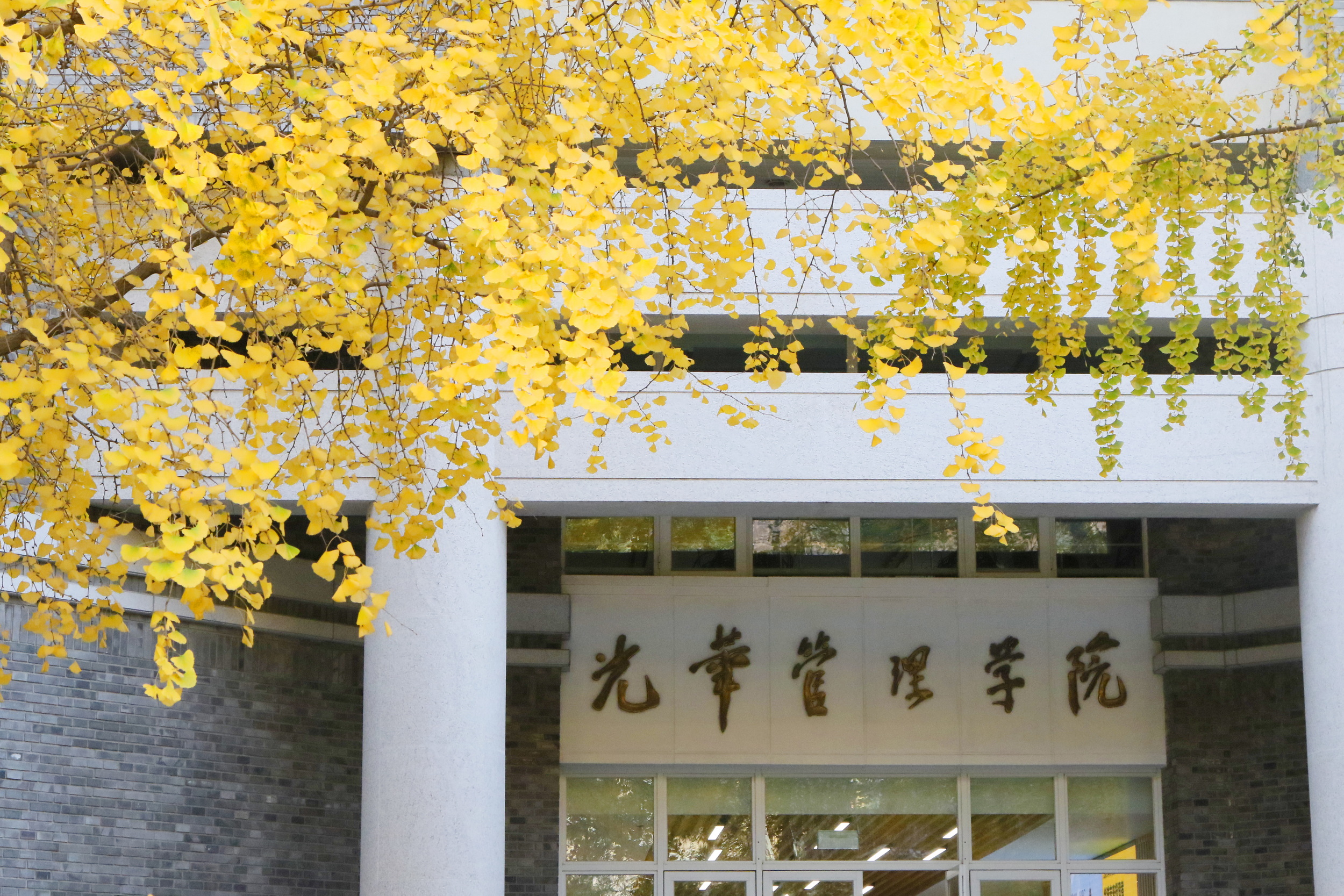 7R1A8587_调整大小.JPG