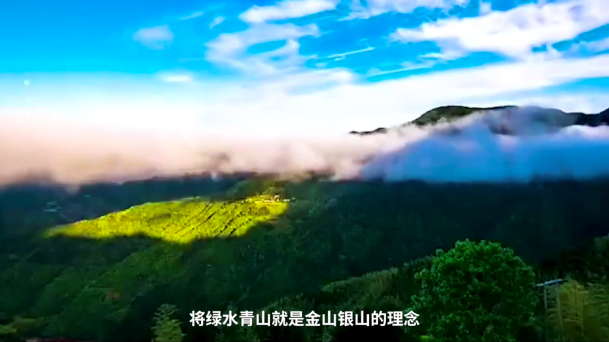 image4.png