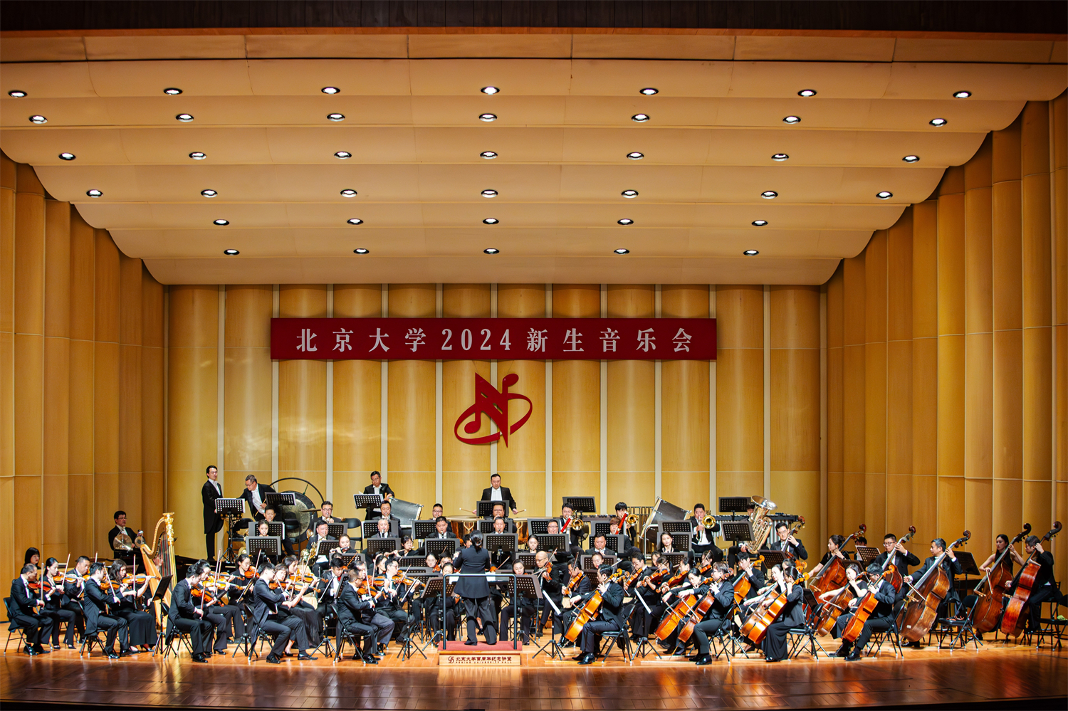 SH260879-已增强-NR.jpg