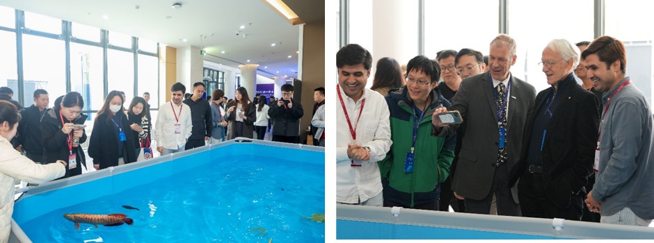 13 与会者观看仿生机器鱼.jpg