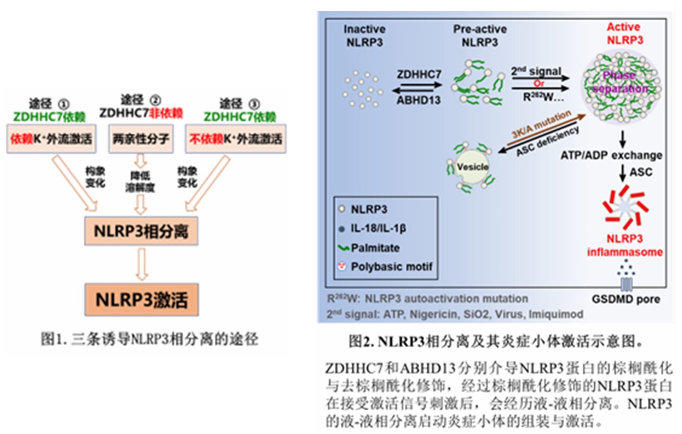 d59ced23b96e4c078fa8adbc0ee97b85.jpg