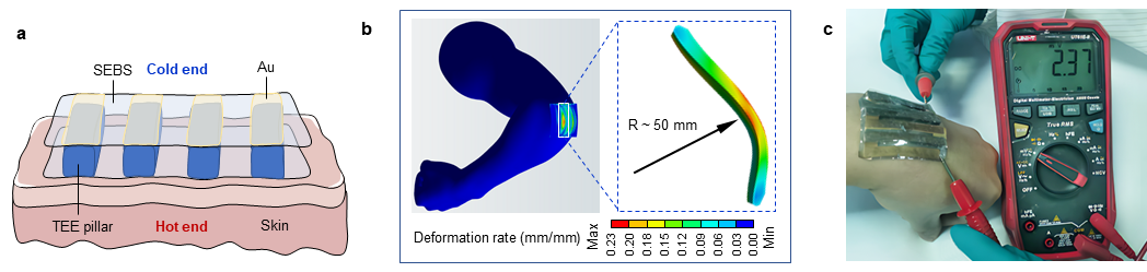 image3.png