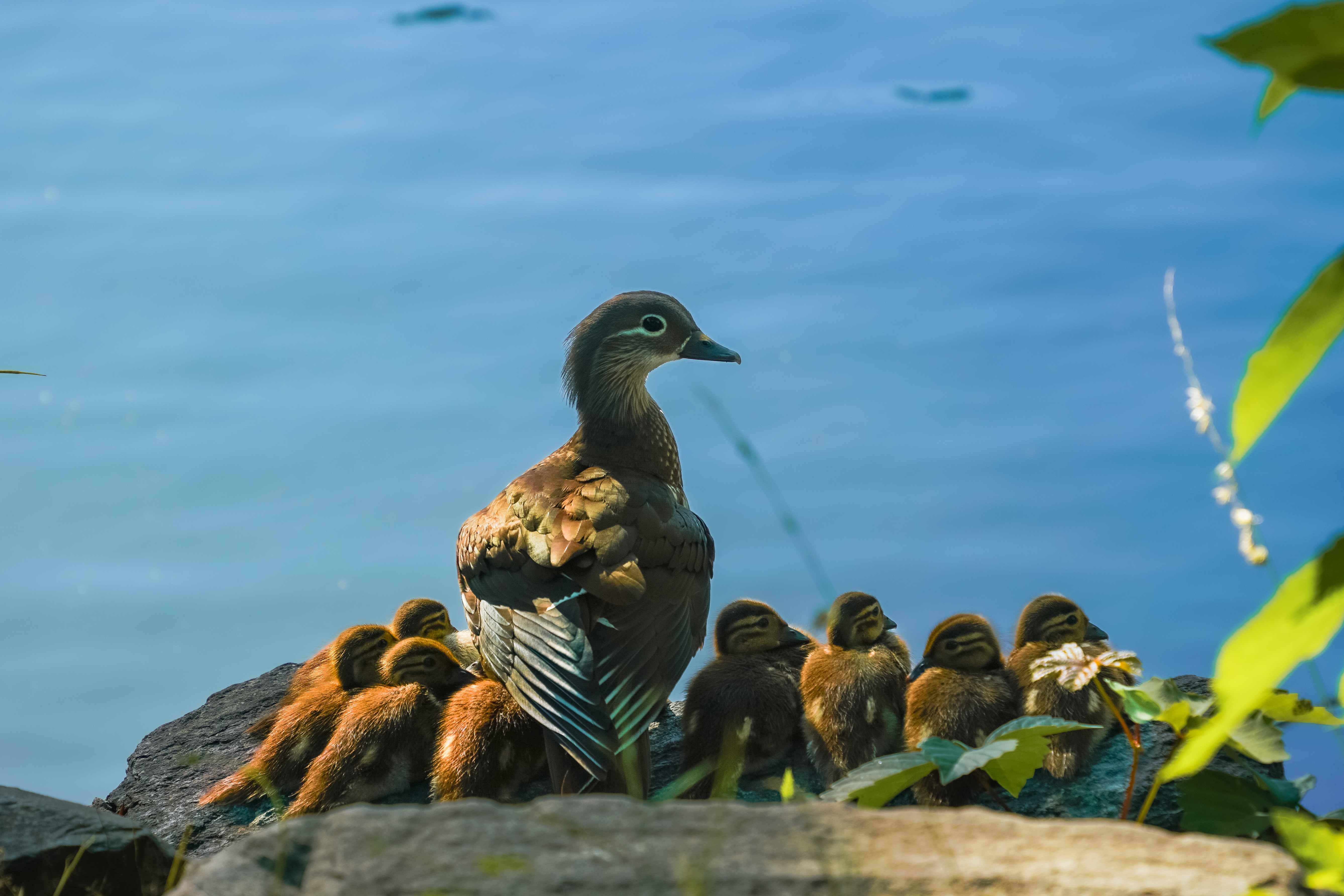 92240ae28001495c8379a215cceb3f22.jpg